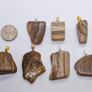 Petrified wood tumbled and polished necklace